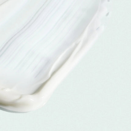 Image Skincare - Vital C Hydrating Intense Moisturizer